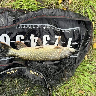 Foto van de Rozemeijer Compact Safe Mat