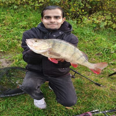 Foto van de Savage Gear Fat Tail Spin NL