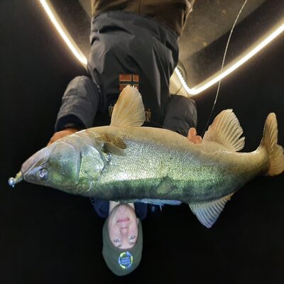 Foto van de Westin RoundUp