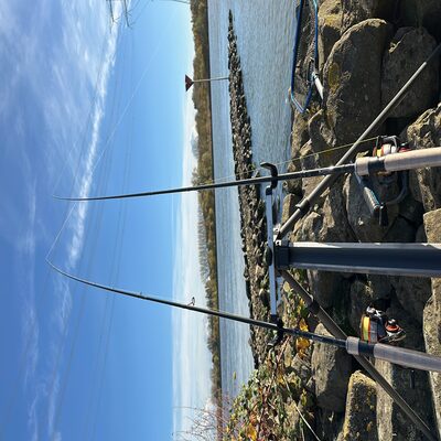 Foto van de Westin W2 Spin