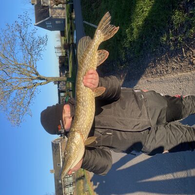 Foto van de Rozemeijer Pike Glide