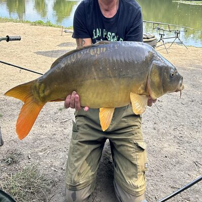 Foto van de Guru Ready Rig Bait Bands