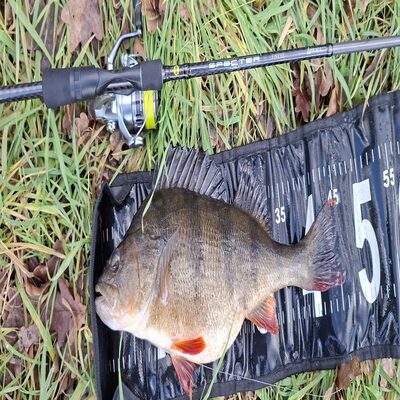 Foto van de Spro Specter Finesse Spin