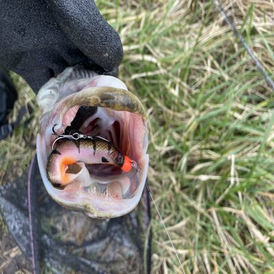 Foto van de Fox Rage Predator PowerPoint X-Strong Barbed Treble Hook
